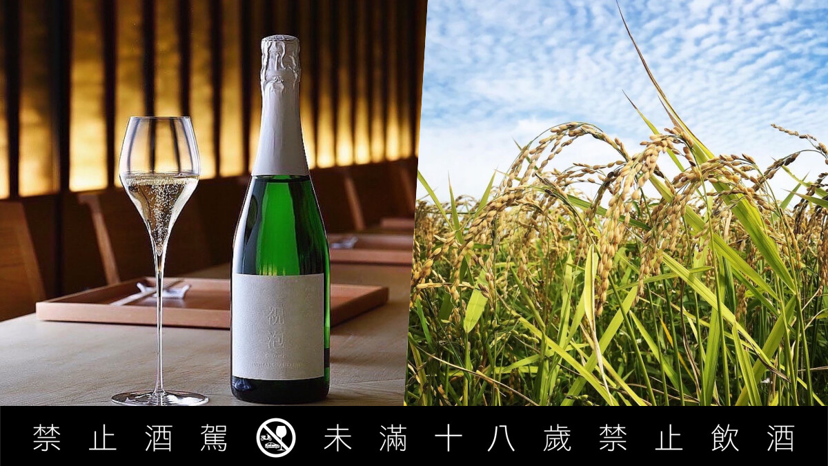 日本兵庫富久錦「祝泡」氣泡清酒上市，有如香檳般華麗細緻的縱向氣泡易飲百搭