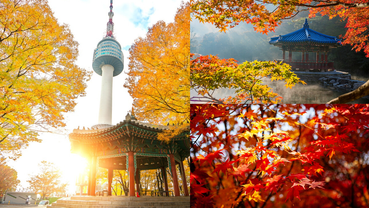 玩咖懶人包／韓國12大最美賞楓景點都在這，各地觀測時間一併公開，詩意唯美畫面必須朝聖
