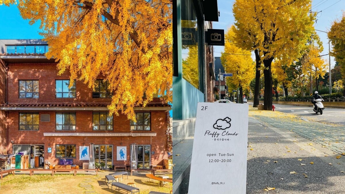 【Julia韓國觀察筆記】秋天必去首爾5家擁有絕美秋景的咖啡廳推薦！坐看銀杏美景，錯過絕對會後悔