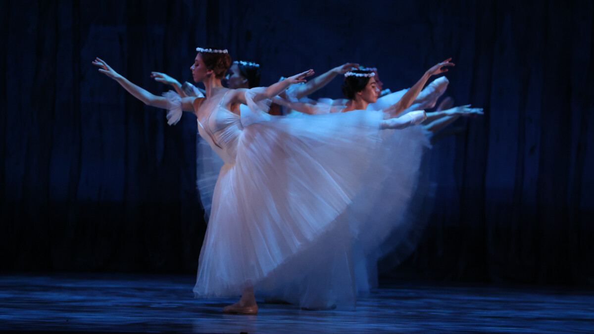 2024第一檔國際級芭蕾表演！《吉賽兒》古典芭蕾經典之作，烏克蘭聯合芭蕾舞團首度來台北中高三地巡演！
