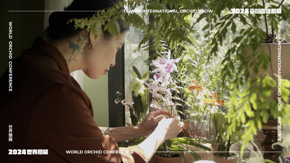 你沒見過的酷美蘭花都在這！台南建城400年迎世界蘭展Ｘ臺灣國際蘭展，將植物融入生活風格！