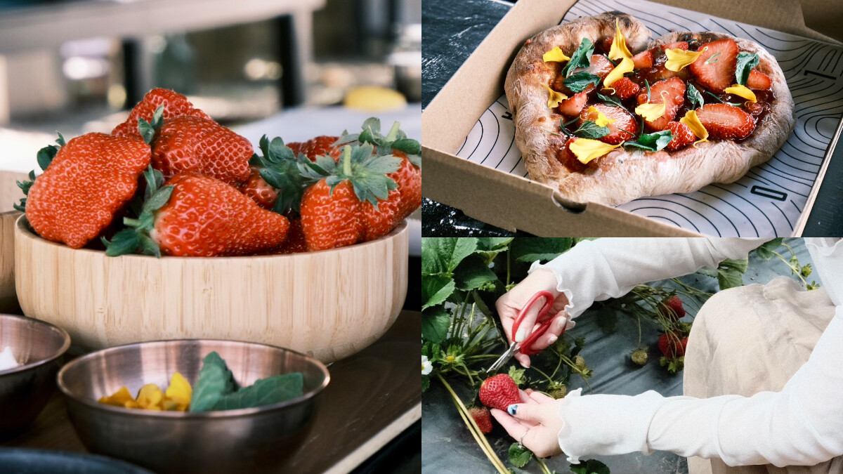 抓住草莓季尾巴！「自然圈農場」帶你DIY果醬＆披薩，親手採摘鮮甜草莓大滿足