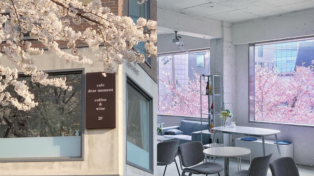 【Julia韓國觀察筆記】春天就是要賞櫻呀！首爾5家擁有絕美櫻花景的咖啡廳推薦