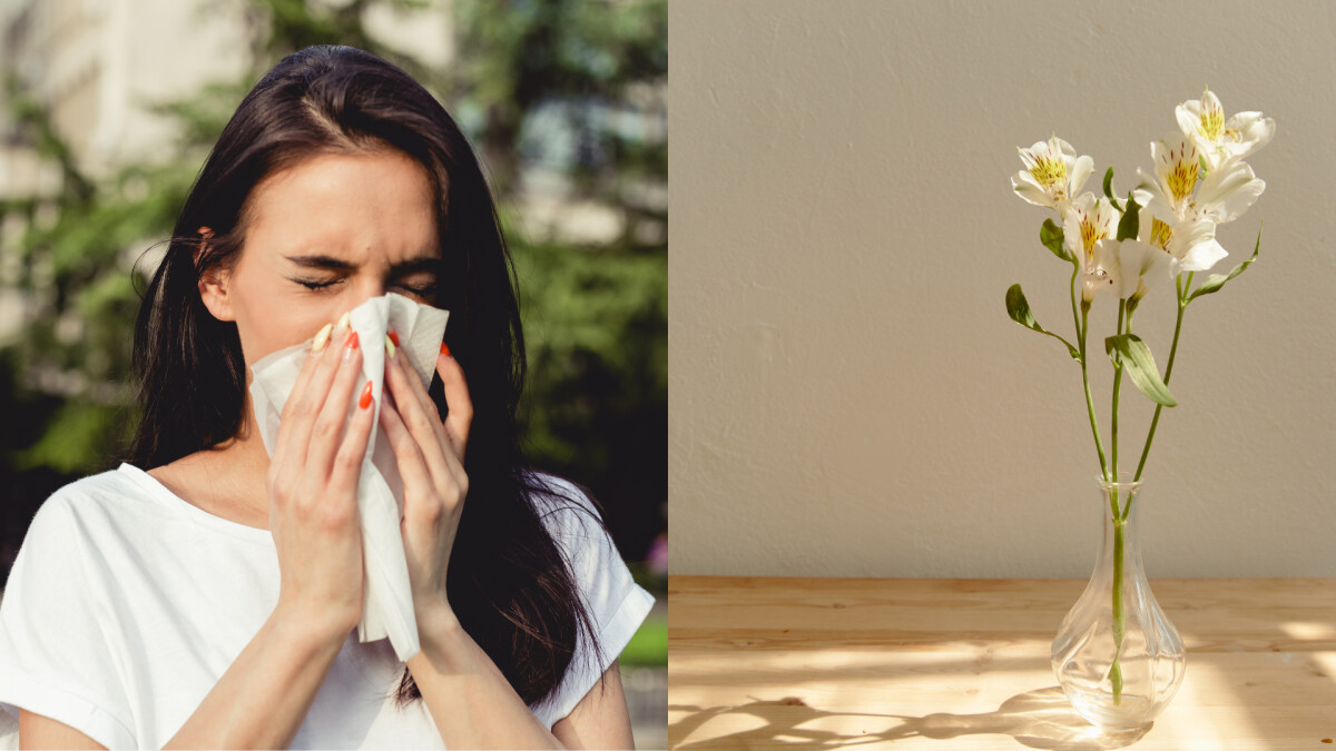 過敏兒花粉症發作超困擾？這幾招學起來！一次教你如何有效舒緩及預防