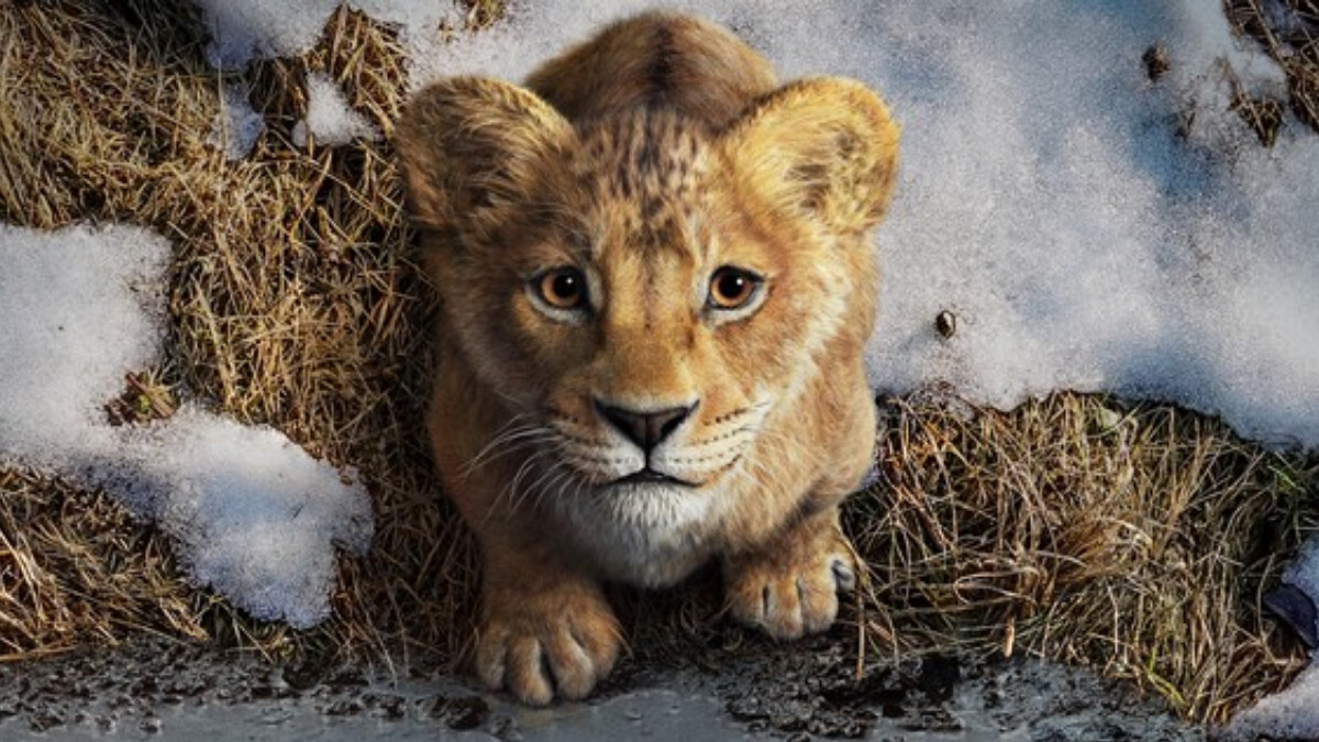 《獅子王：木法沙》首支預告曝光！碧昂絲回歸配音，劇情、上映日期一次看