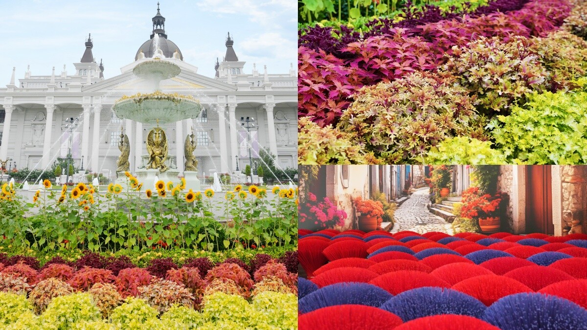 台灣也有毛絨絨「波波草花園」！數百顆繽紛團子耍萌101天，還有全新遊戲區讓兒童放電