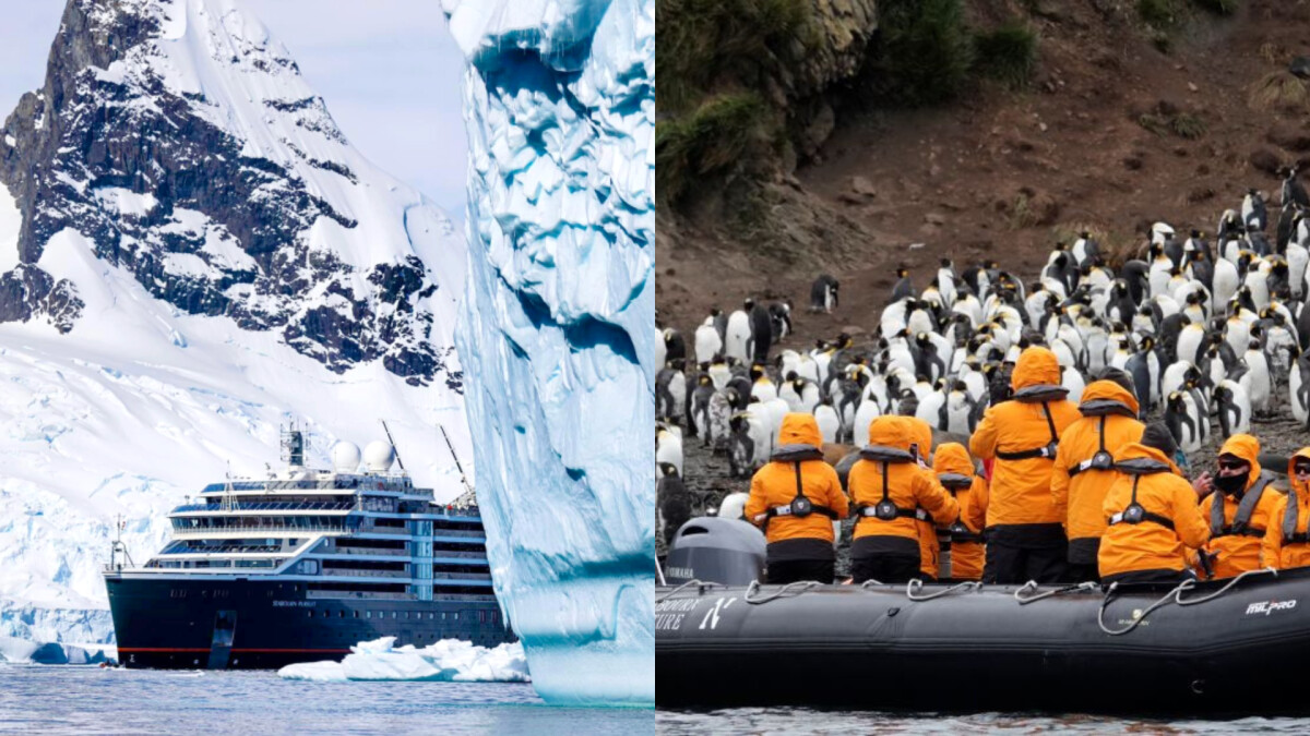 一生一次的南北極奢華探索之旅！搭乘璽寶探險號 & 璽寶奔速號，與世界級的遠征團隊展開沉浸式體驗