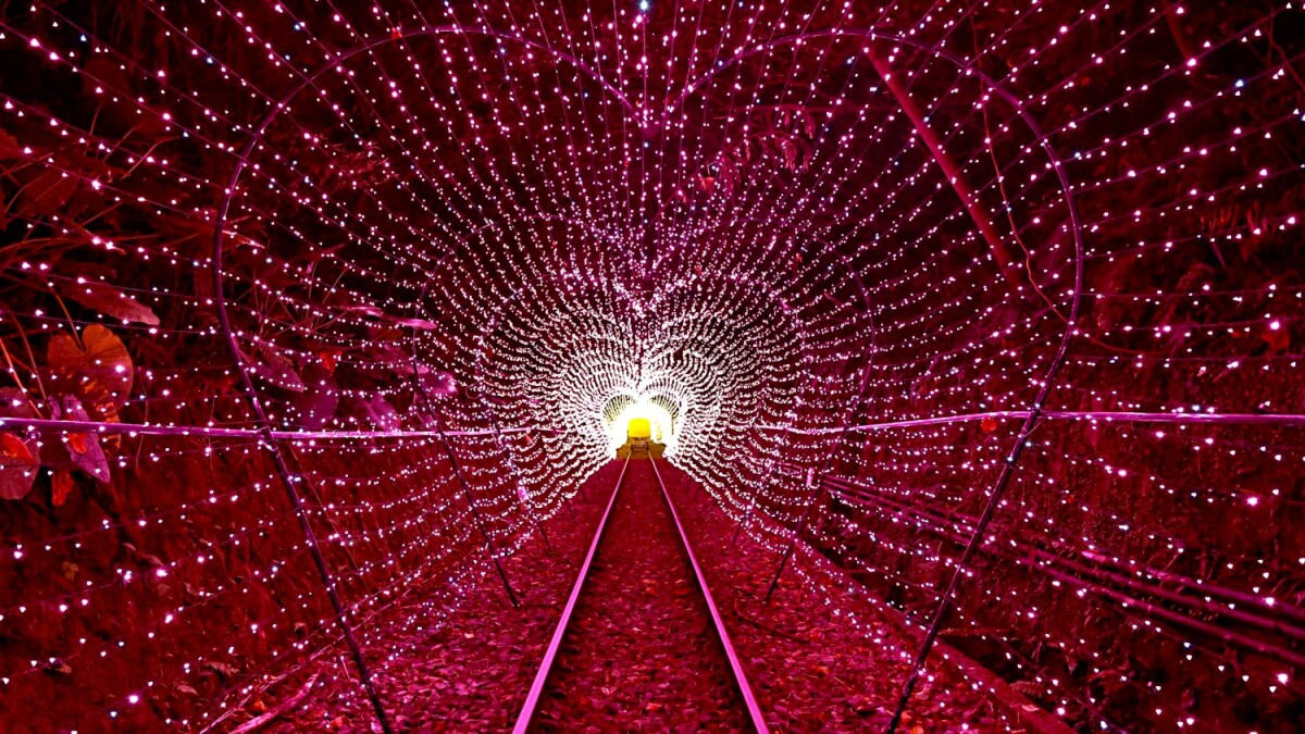 超浪漫夏日約會景點！深澳鐵道自行車變身「粉色愛心隧道」，七夕星河燈飾為感情加溫