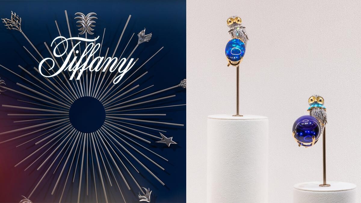 Tiffany&Co.頂級珠寶把星空收進作品中，經典「石上鳥」推出新品種...