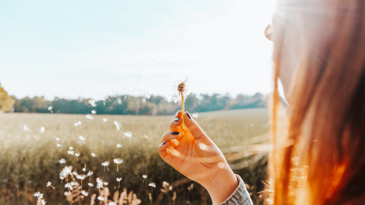 塔羅占卜| 未來事業的下一步?
