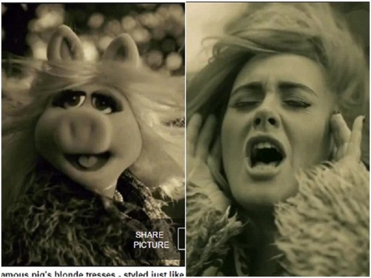 豬小姐與柯米蛙分手療情傷,惡搞愛黛兒 <Hello>, 超古錐!