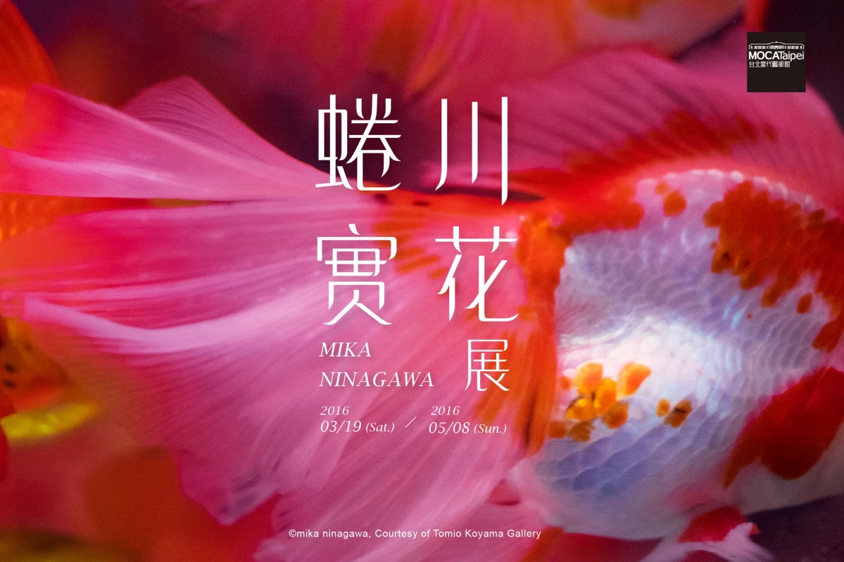 無法不注目它!帶領你一層層進入蜷川實花二十年的創作軌跡!