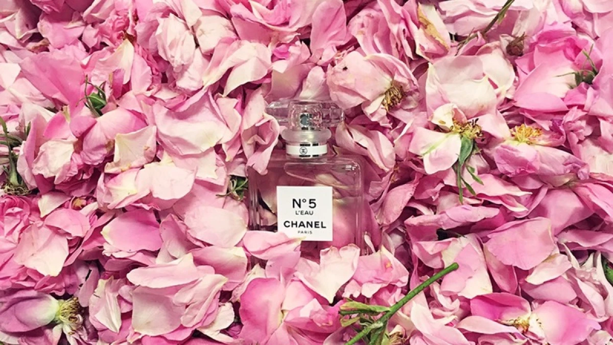 新經典 Chanel N5 L'eau 開啟清新香氣全新想像