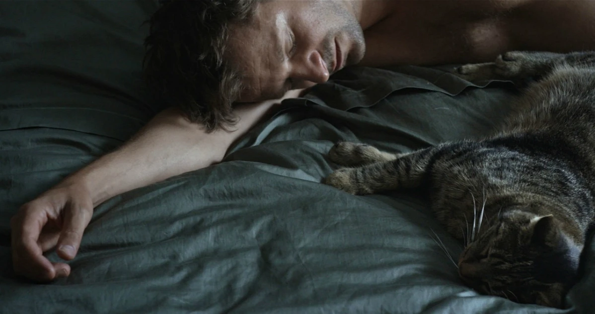 跨越國界為愛連結!酷兒影展不能錯過的13部優質片單