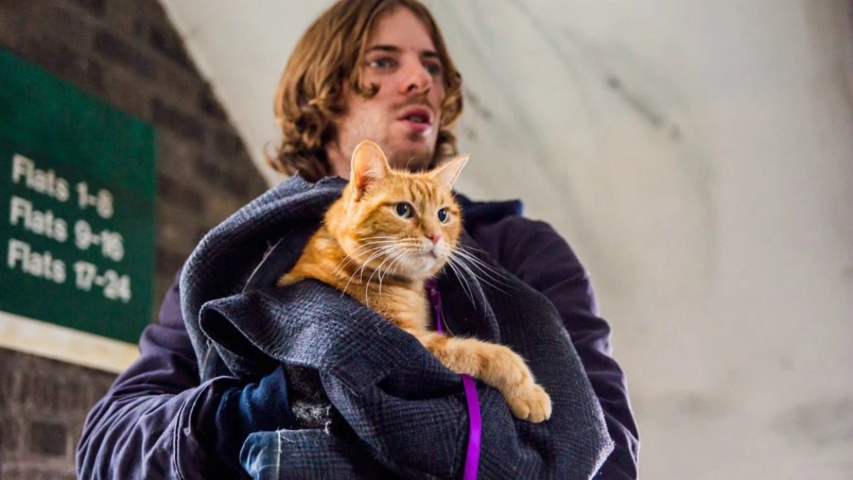 集結12位影帝影后作品!超萌街貓Bob成2016金馬影展亮點