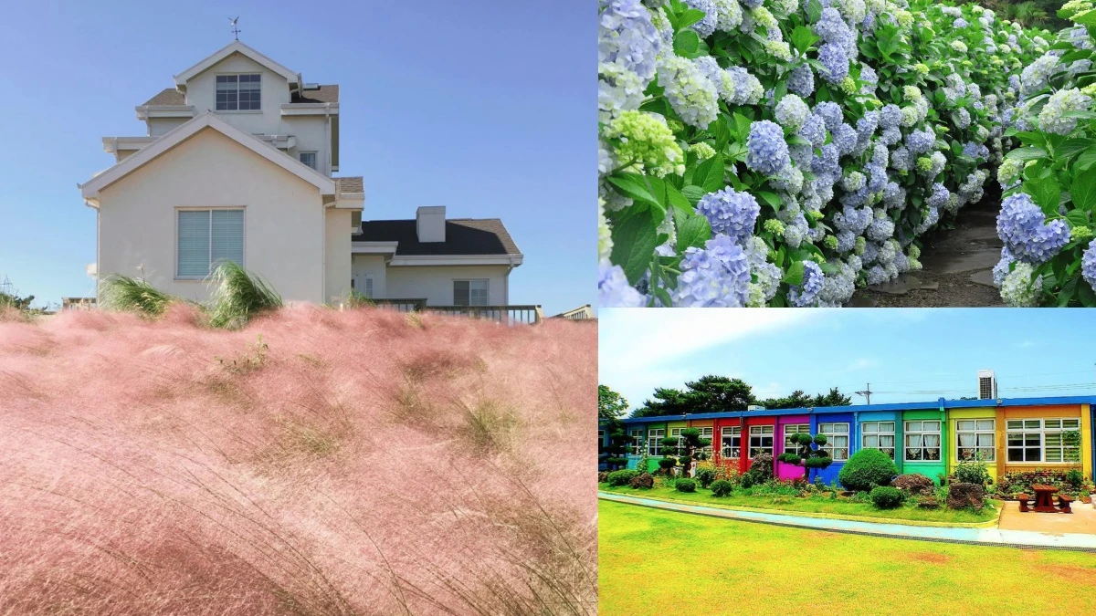 韓妞必訪的浪漫地!海景咖啡廳、粉紅芒草、山茶花牆…5處濟州島夢幻景點全收