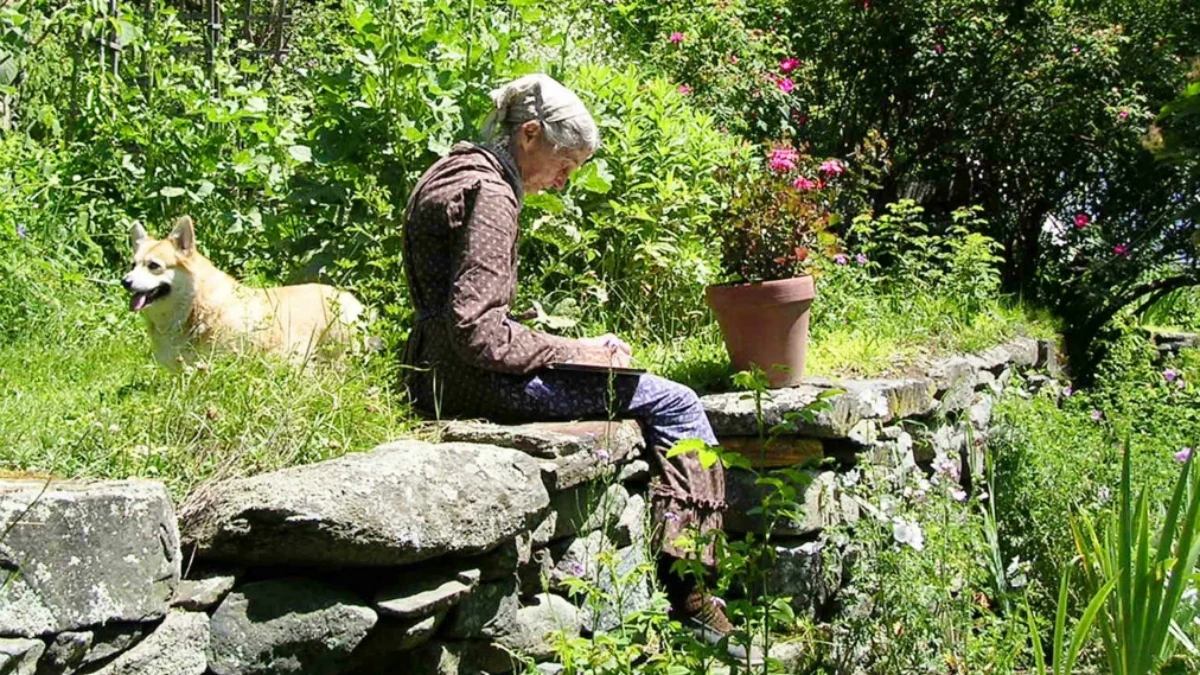 「人生苦短，所以一定要享受當下。」塔莎奶奶的慢活哲學，心靈療癒新片《塔莎杜朵，一個人的田園生活》