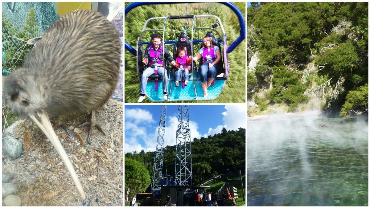 極限鞦韆、彩虹泉公園奇異鳥，火山湖暖泉、奇異果莊園心靈SPA，來紐西蘭這樣玩Hen解憂