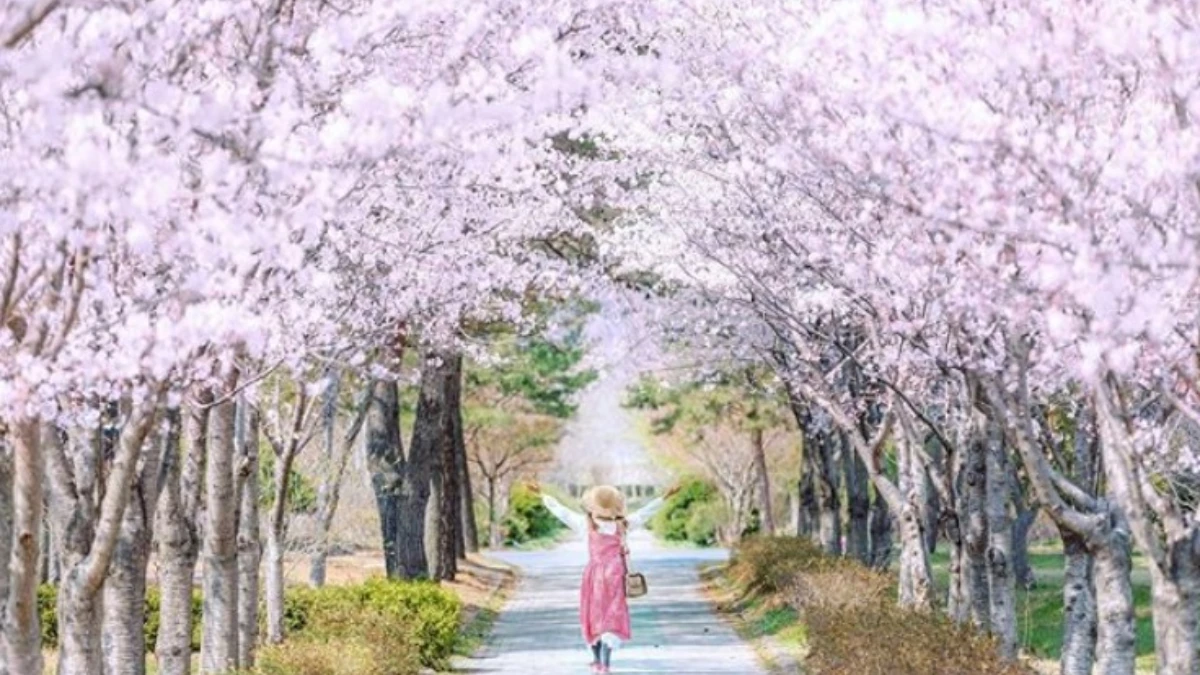 連假旅遊首選：IG八大賞櫻景點－東京、福岡、首爾、淡水，一生必去一次！