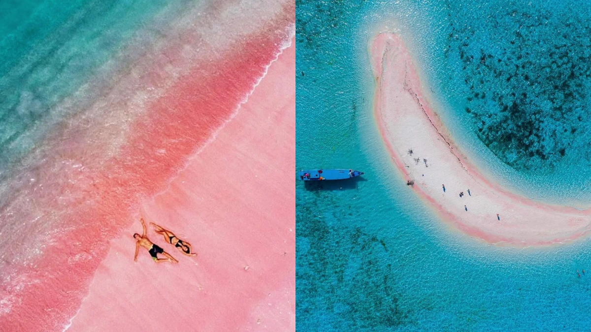 這個沙灘美翻了！印尼「科莫多島」珊瑚粉色沙灘，海天一色的美景根本仙境～