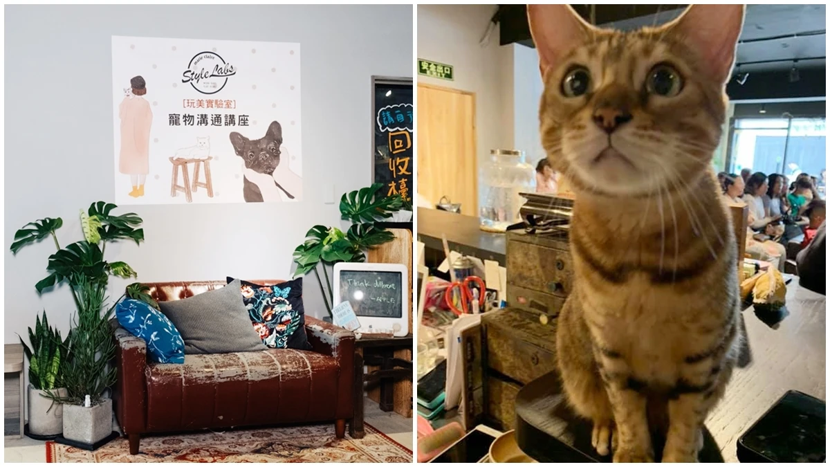 《Style Labs玩美實驗室》4月寵物溝通講座,毛孩們每一隻都是戲精!你讀懂牠們的內心了嗎?
