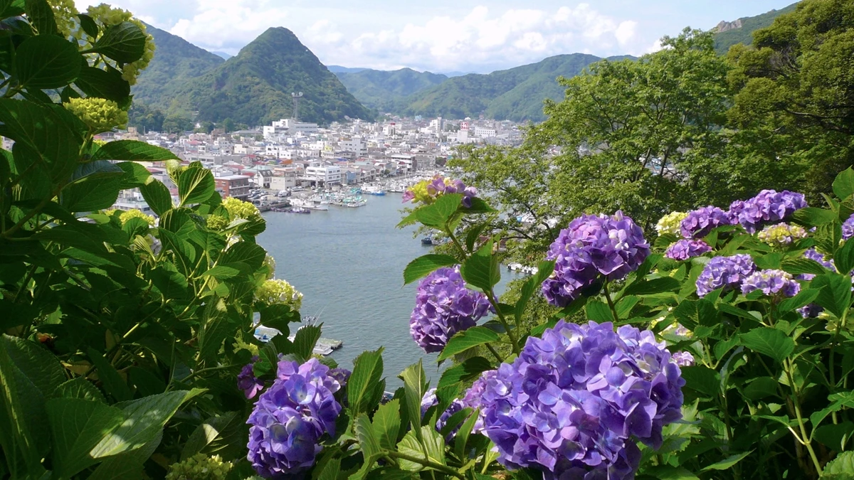 【MiKU玩日本】6月到東京就是要拍繡球花！不用人擠人的2大私藏祕境首度公開