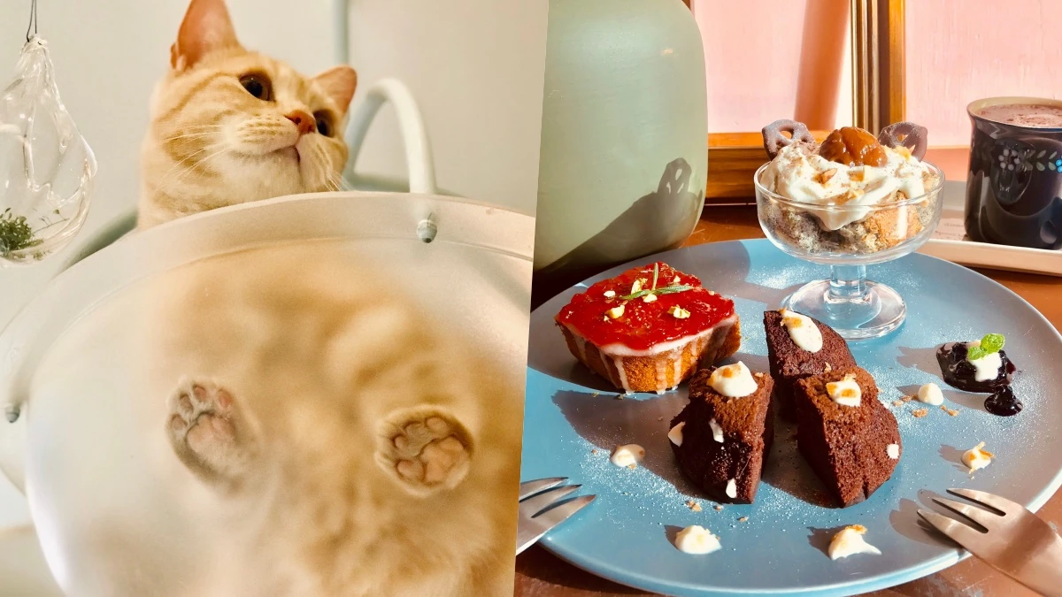 【宜蘭美食】貓的生活提案打造最療癒的甜點天堂，快來跟貓咪一起發呆吃下午茶