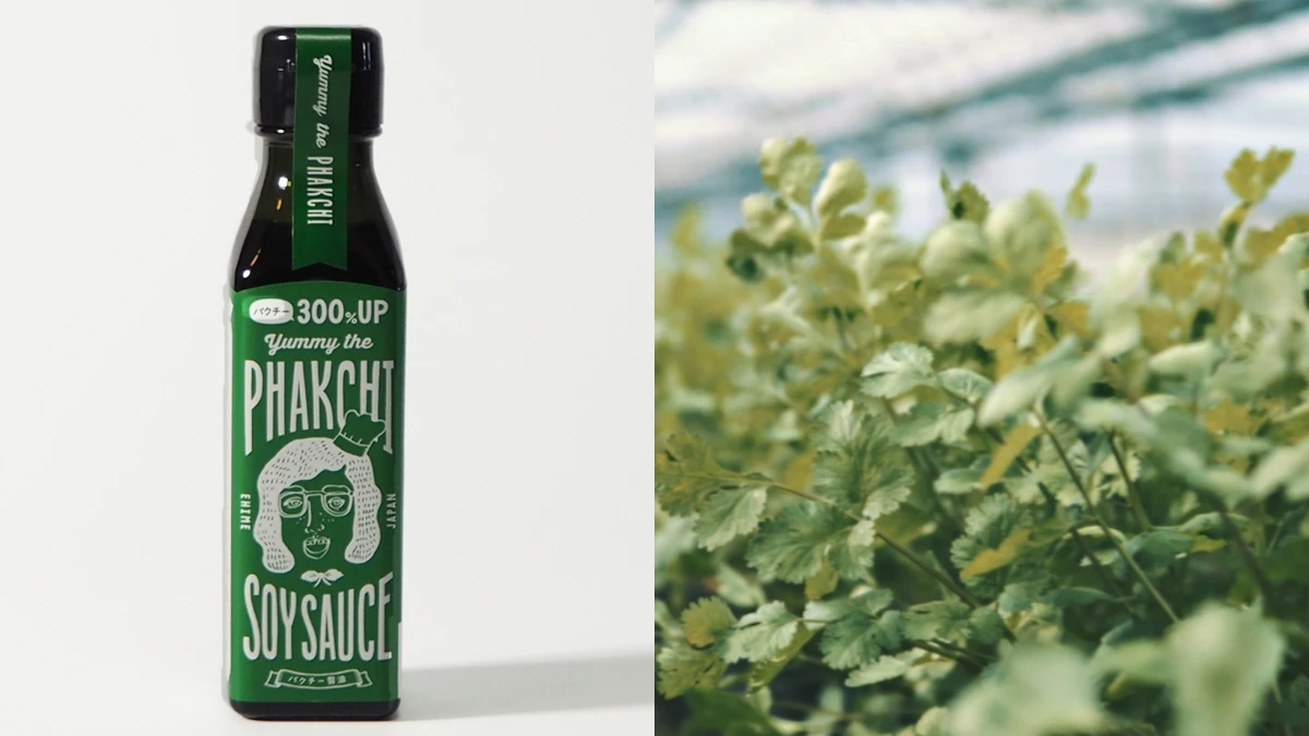 香菜控歡呼!日本老牌推「300% 增量香菜醬油」,濃郁芫荽味久久不散,立刻手刀囤貨吧
