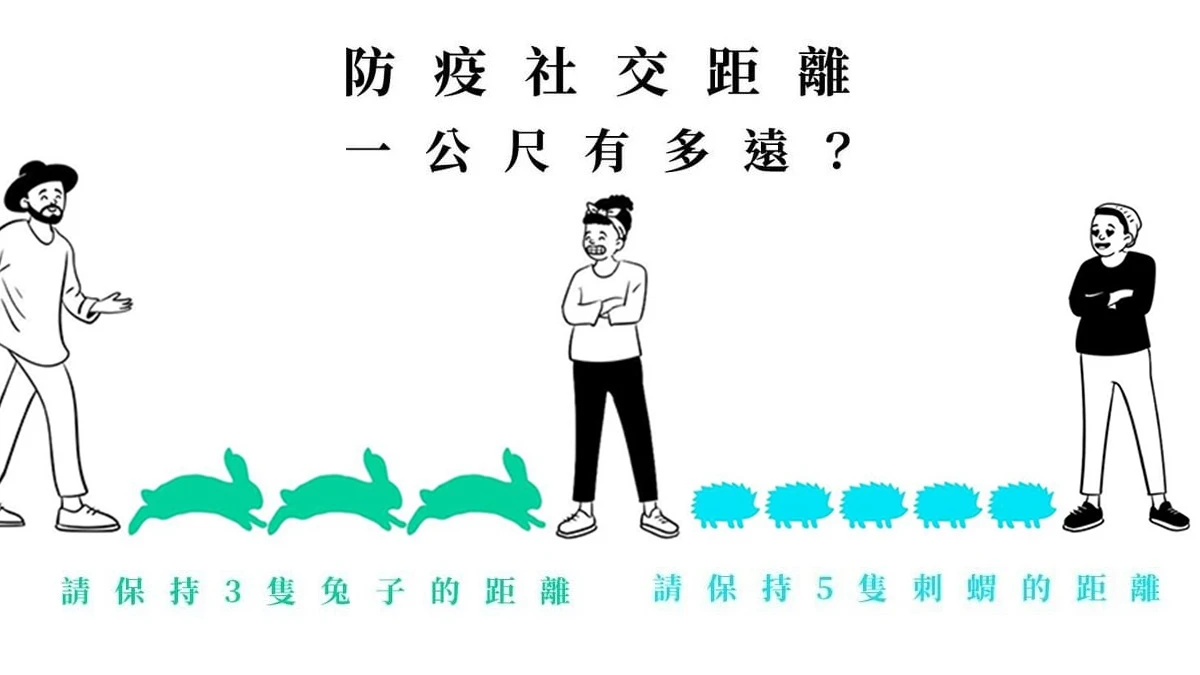 社交距離有多遠？5種超萌動物示範安全距離，請離我3隻兔子遠