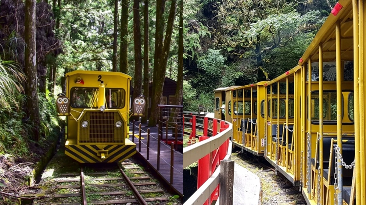 睽違半年!2020宜蘭「太平山蹦蹦車」恢復行駛,3公里車程、無窗戶車廂,零距離擁抱大自然芬多精,票價、時刻表一次看