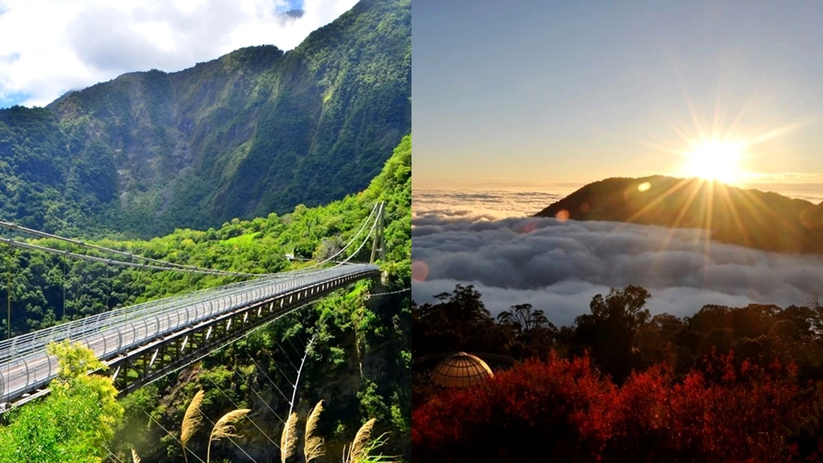 走進山林避暑去!盤點全台5大絕美自然園區,奇幻雲海包圍、大魯閣人氣新景點「山月吊橋」解放身心靈壓力