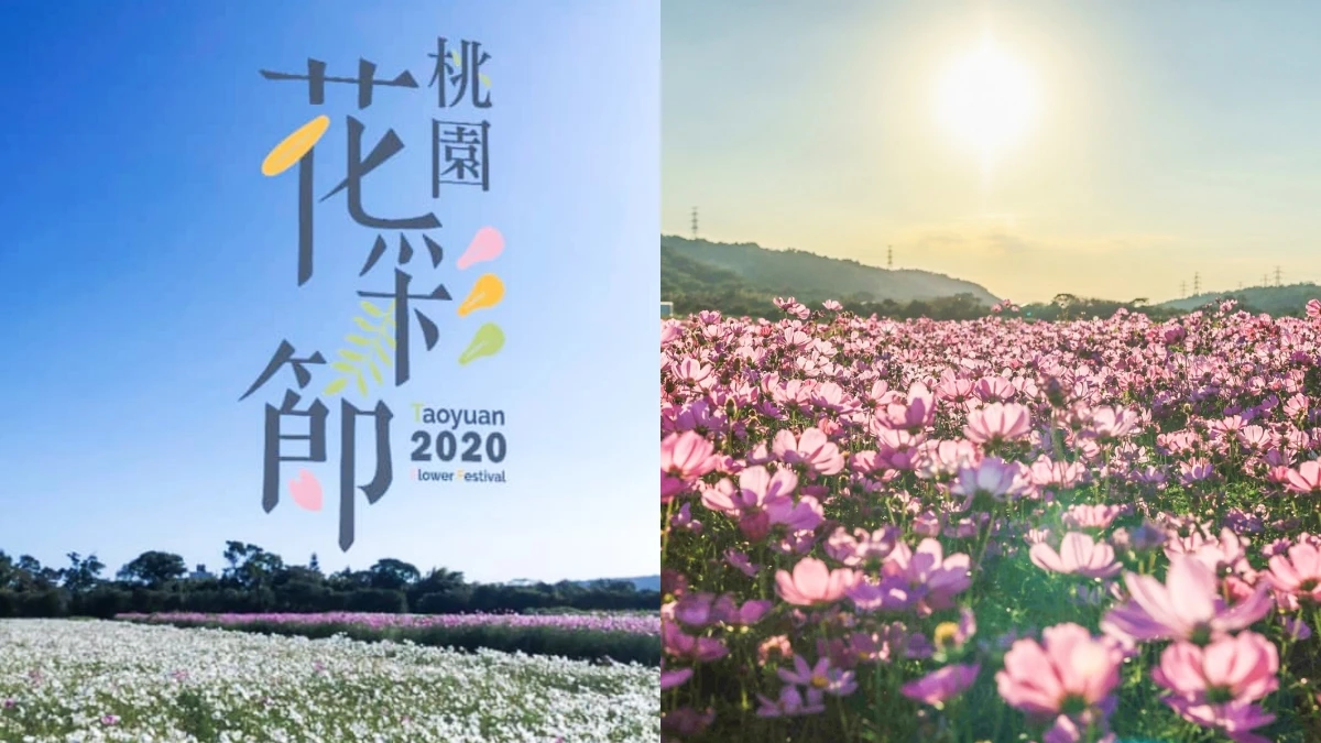 2020桃園花彩節三大展區接力綻放!繽紛花海、最新花況、夜宿花田等活動報名連結、展期懶人包