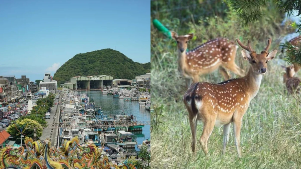 【台灣深度旅遊】全台8條社區文化小旅行路線，深度走訪社區秘境好好玩！