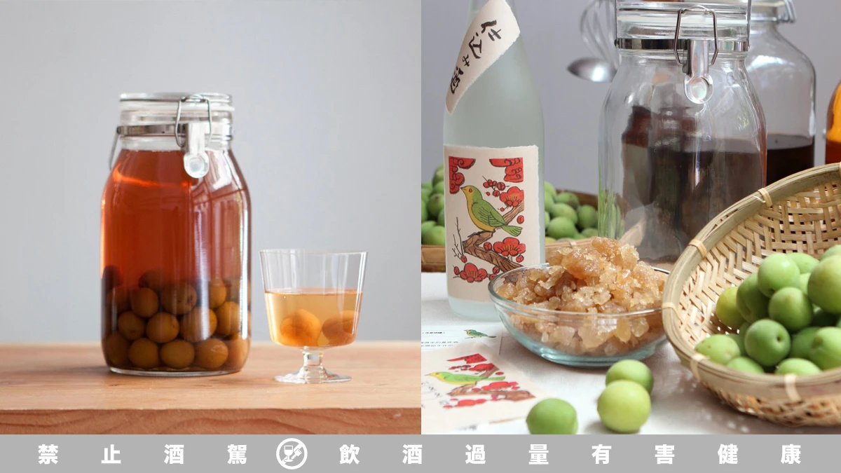 梅酒季節來到，生活需要一點儀式感！動手釀瓶屬於自己的梅酒吧～