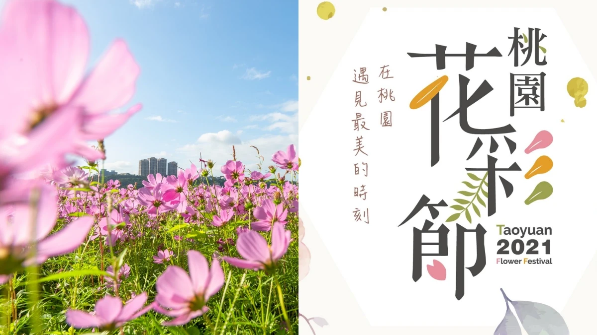 2021桃園花彩節雙展區接力綻放!巨型向日葵迷宮、夜間光雕花田超好拍
