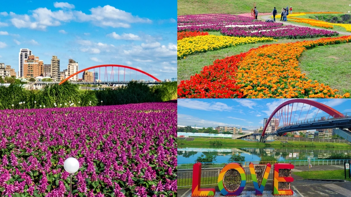 台北32萬盆紫爆花海捷運就能到!占地24座籃球場、蝴蝶花海超適合走春