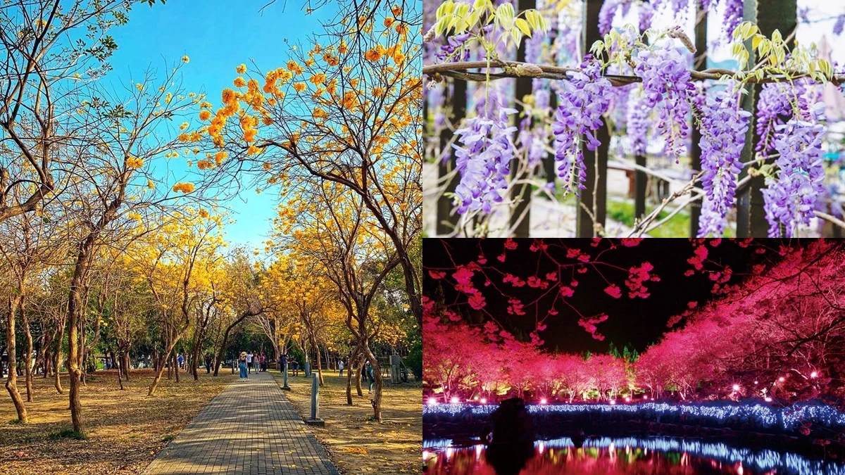 超夢幻「Pantone色花海」都在這!精選全台2022長春花藍、黃水仙賞花景點,網美快一一踩點