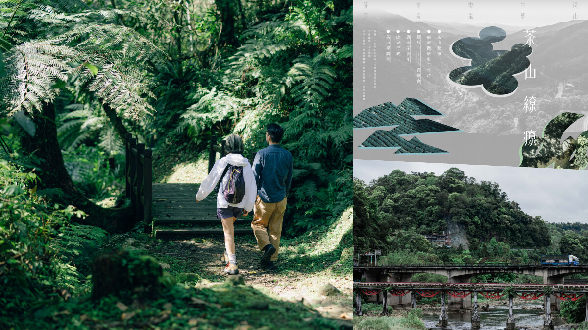 跟著「茶山繚療」茶香山林療癒你的身心,用博物館、市集深度探索坪林