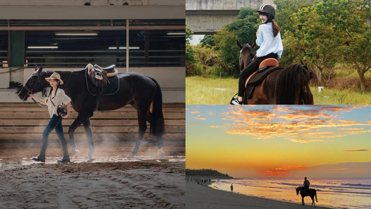 【北台灣馬場體驗】享受絕美夕陽下騎馬漫步、樹林穿梭奔馳快感！