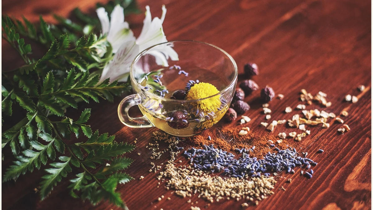 夏日養生花茶這樣泡，可瘦身降脂、舒緩經痛！