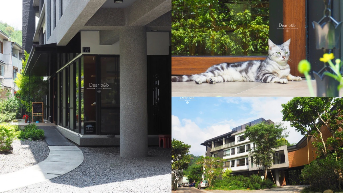 帶著毛孩們一起去旅行!寵物友善住宿推薦:南投日月潭.躲進貓咪天地——「朵麗絲的家DORIS HOME B&B」