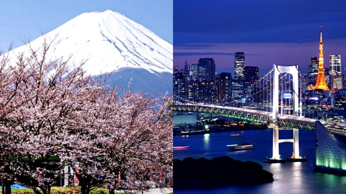 日本10/11開放自由行！航空公司新航線、旅行社優惠一次看，立刻遞假單