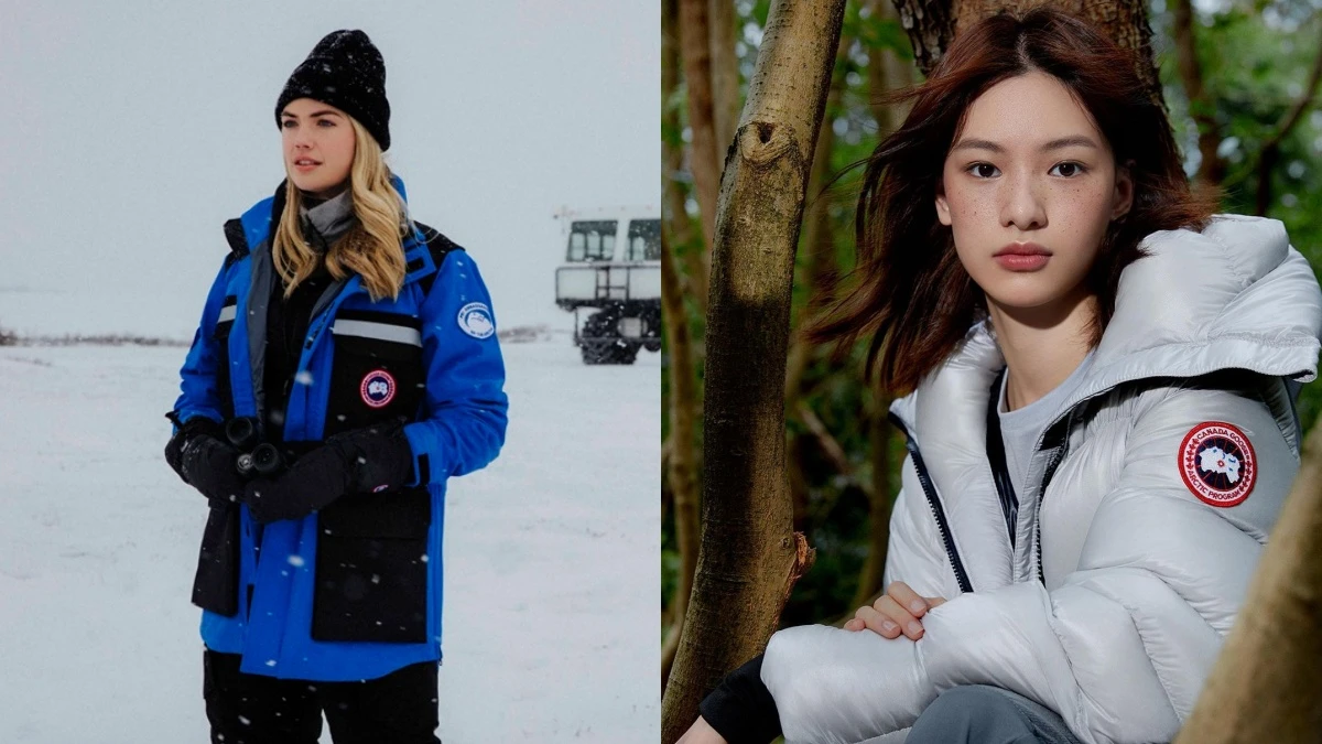 Moncler goose online