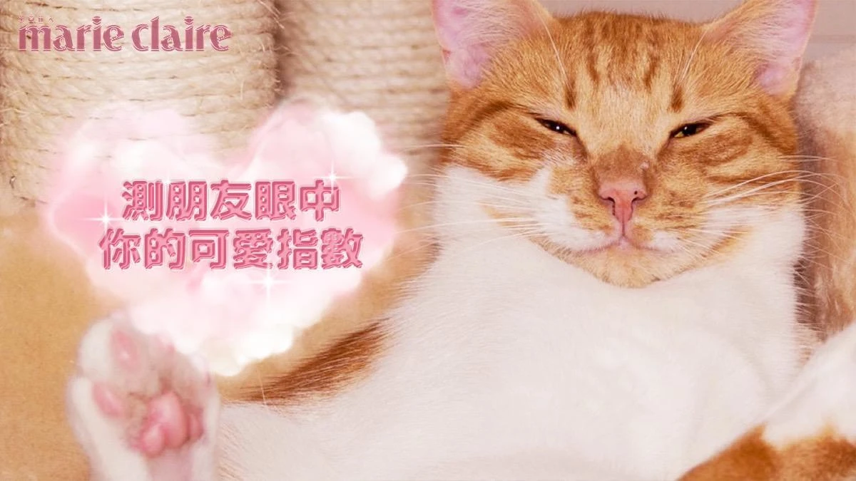 心理測驗/朋友眼中的我,機器寵物5選1,測你的可愛指數