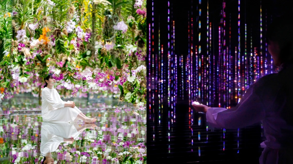 東京豐洲 teamLab Planets TOKYO DMM新亮點！生命是轉瞬即逝的光的結晶