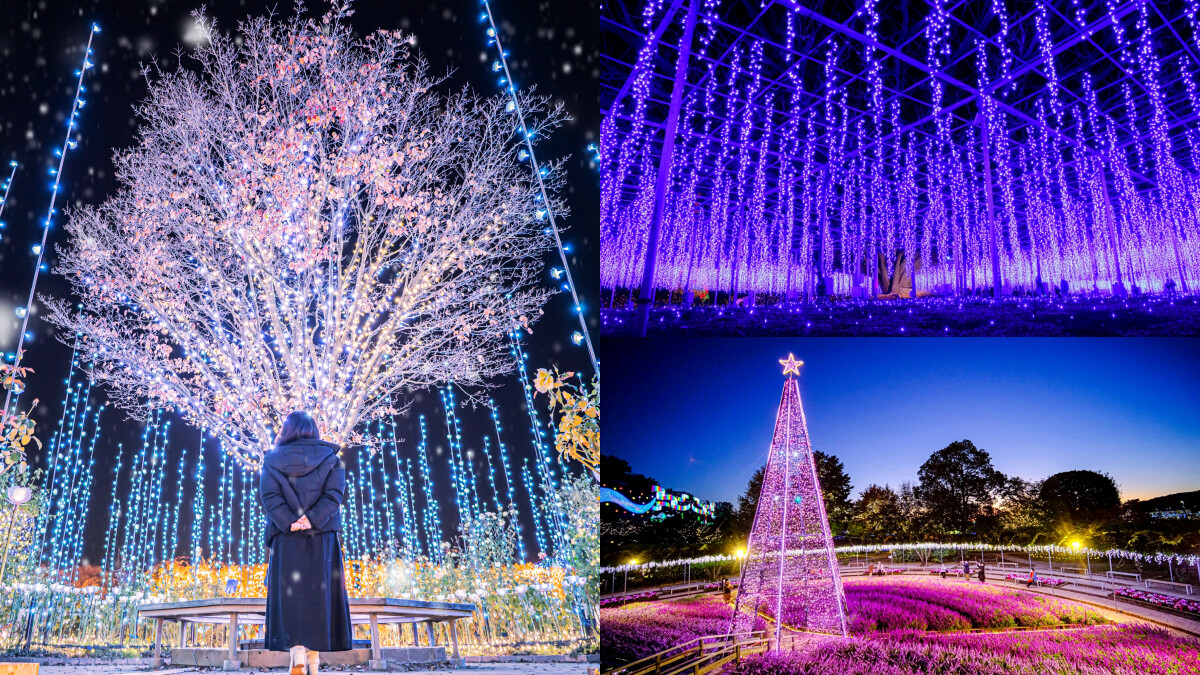 日本第一！足利花卉公園冬季燈光秀「光之花庭園」登場，500萬顆燈泡及夢幻紫藤花海美到屏息