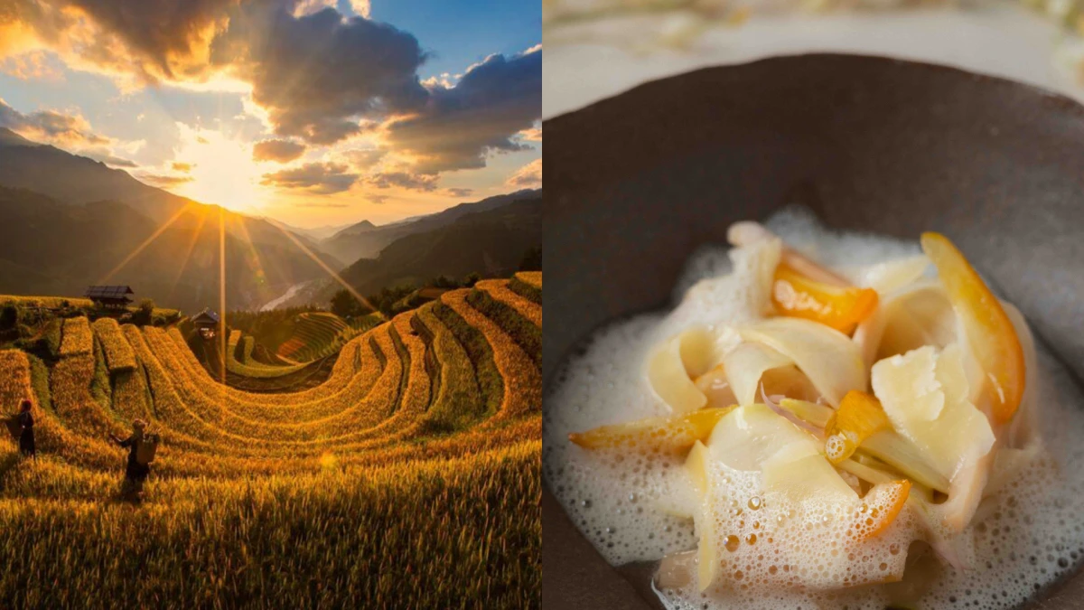 樂埔町盛大回歸!攝影展、微醺座位、夏季菜單⋯三大亮點搶先看!