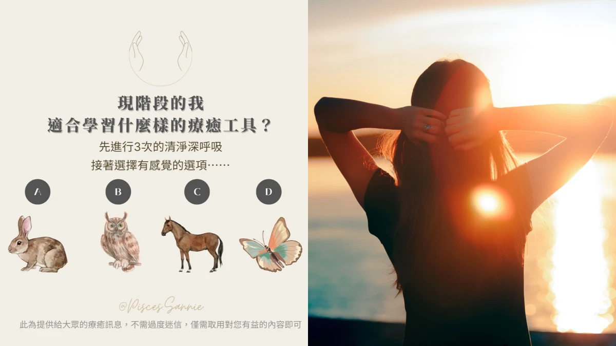 大眾占卜|憑直覺選出一隻動物,看看哪種療癒工具最適合現在的你
