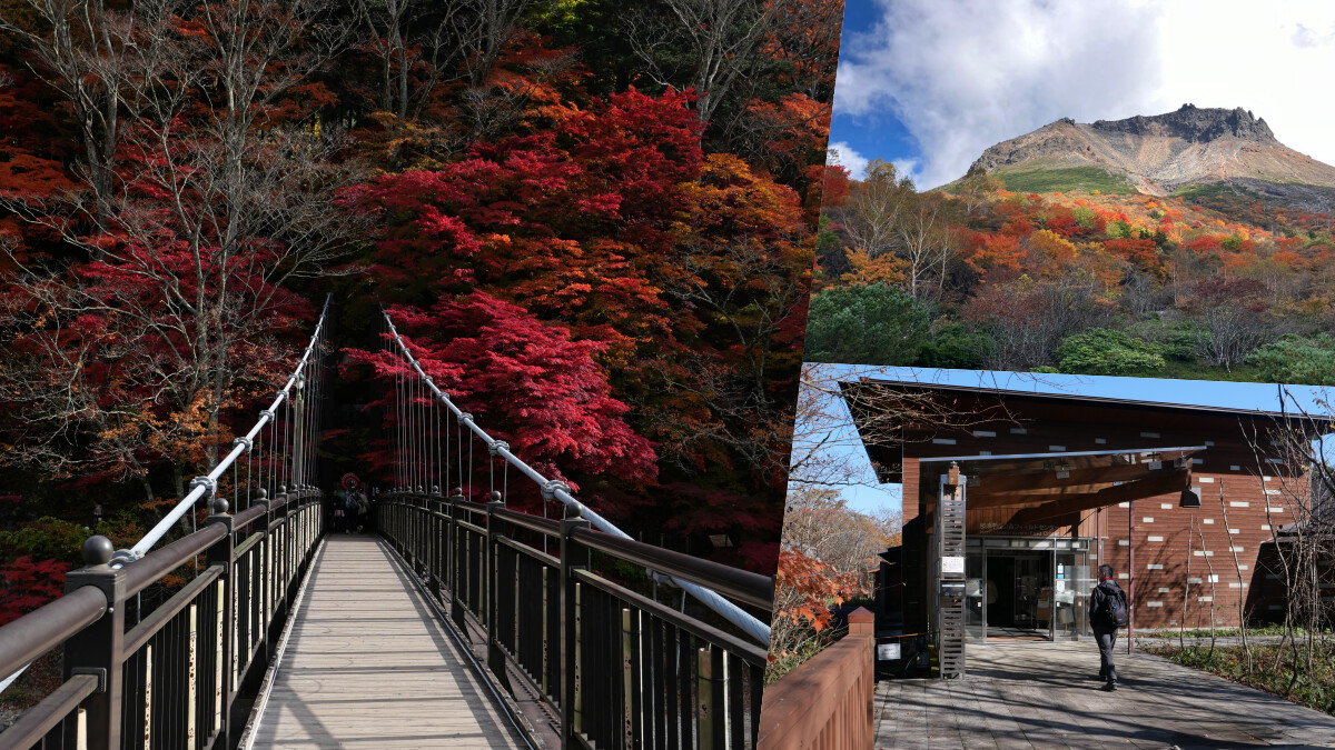 栃木縣追楓之旅！五大賞楓景點推薦：皇室森林漫步、高空纜車、日本百岳健行體驗，探索那須獨特魅力