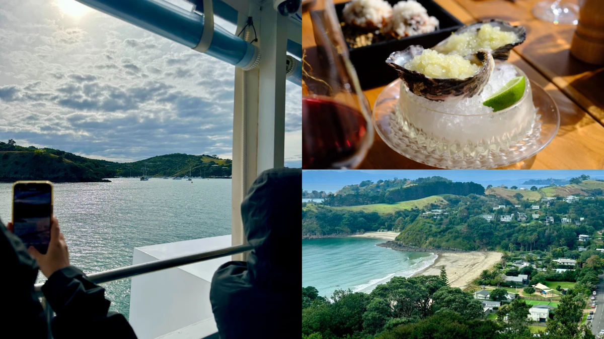 紐西蘭秘境公開!直擊懷希基島5大必訪景點,跟著在地人的口袋名單這樣玩
